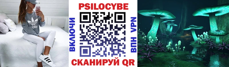 где найти   Малоярославец  Псилоцибиновые грибы Cubensis 
