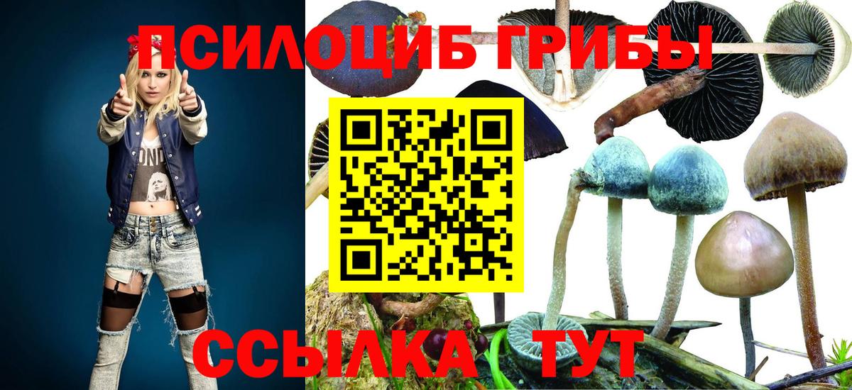 Галлюциногенные грибы Magic Shrooms  дарнет шоп  Галлюциногенные грибы GOLDEN TEACHER  Малоярославец 