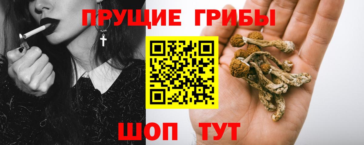 Галлюциногенные грибы MAGIC MUSHROOMS  Вход с VPN  купить наркоту  Малоярославец  Псилоцибиновые грибы GOLDEN TEACHER 