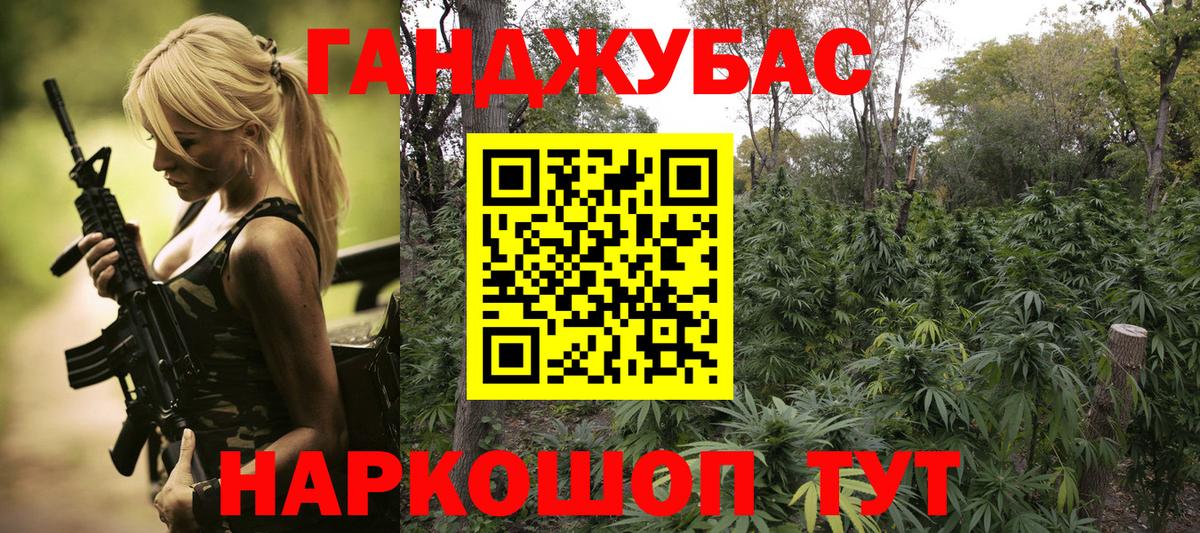 Каннабис Bruce Banner  Бошки Шишки семена  МАРИХУАНА гибрид  Малоярославец  Каннабис планчик 